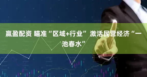 赢盈配资 瞄准“区域+行业” 激活民营经济“一池春水”