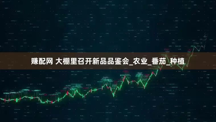 赚配网 大棚里召开新品品鉴会_农业_番茄_种植