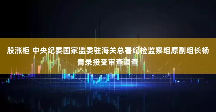 股涨柜 中央纪委国家监委驻海关总署纪检监察组原副组长杨青录接受审查调查