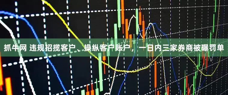 抓牛网 违规招揽客户、操纵客户账户，一日内三家券商被曝罚单
