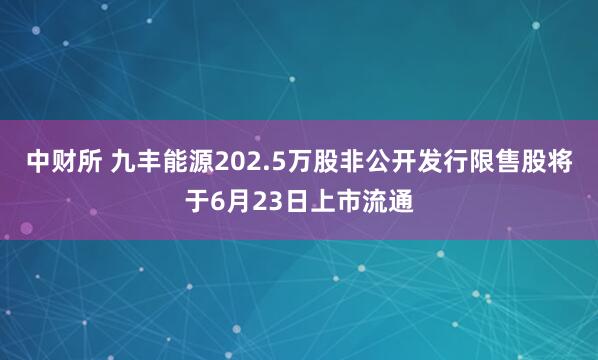 中财所 九丰能源202.5万股非公开发行限售股将于6月23日上市流通